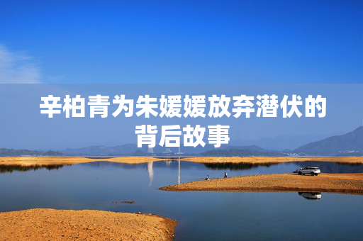 辛柏青为朱媛媛放弃潜伏的背后故事