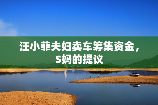 汪小菲夫妇卖车筹集资金，S妈的提议