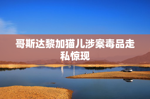 哥斯达黎加猫儿涉案毒品走私惊现
