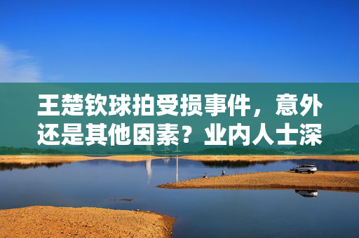王楚钦球拍受损事件，意外还是其他因素？业内人士深度解析