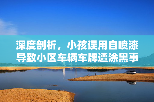 深度剖析，小孩误用自喷漆导致小区车辆车牌遭涂黑事件