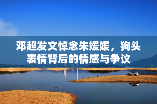 邓超发文悼念朱媛媛，狗头表情背后的情感与争议