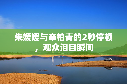 朱媛媛与辛柏青的2秒停顿，观众泪目瞬间