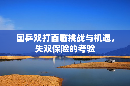 国乒双打面临挑战与机遇，失双保险的考验