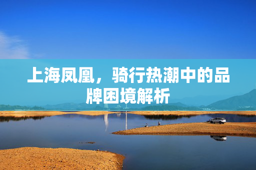 上海凤凰，骑行热潮中的品牌困境解析