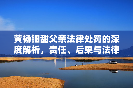 黄杨钿甜父亲法律处罚的深度解析，责任、后果与法律责任