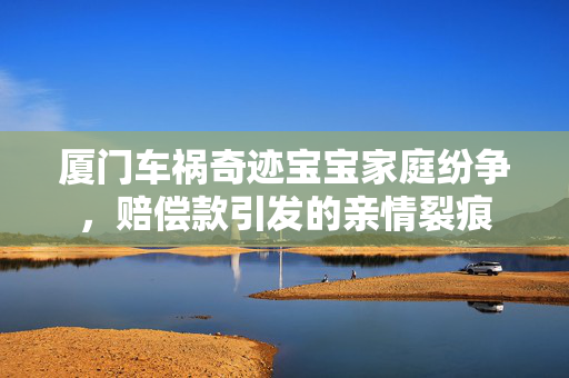 厦门车祸奇迹宝宝家庭纷争，赔偿款引发的亲情裂痕
