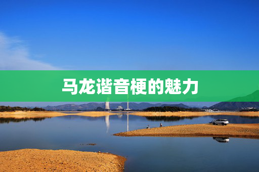 马龙谐音梗的魅力