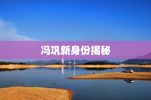 冯巩新身份揭秘
