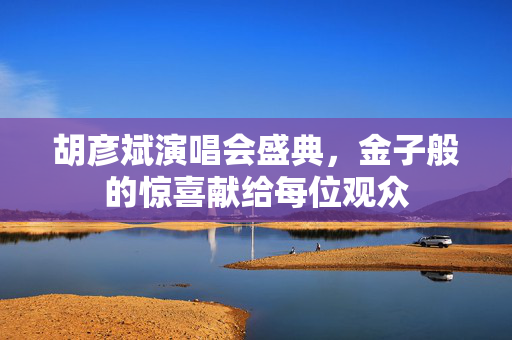 胡彦斌演唱会盛典，金子般的惊喜献给每位观众