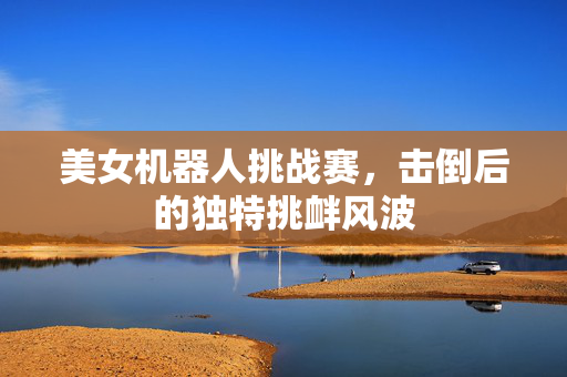 美女机器人挑战赛，击倒后的独特挑衅风波
