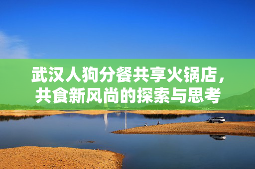 武汉人狗分餐共享火锅店，共食新风尚的探索与思考