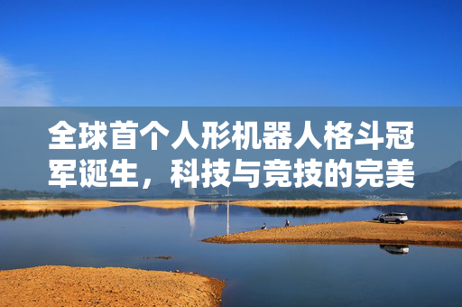 全球首个人形机器人格斗冠军诞生，科技与竞技的完美融合