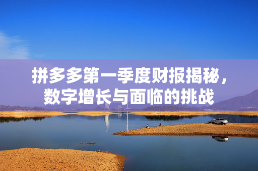 拼多多第一季度财报揭秘，数字增长与面临的挑战