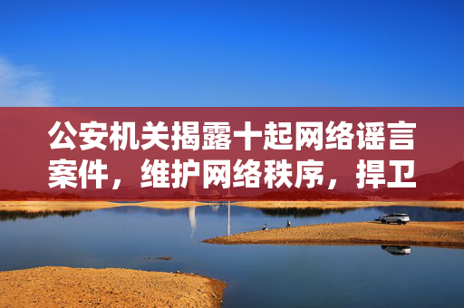 公安机关揭露十起网络谣言案件，维护网络秩序，捍卫社会稳定
