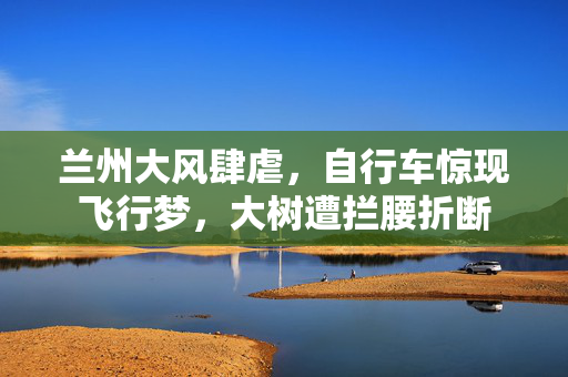 兰州大风肆虐，自行车惊现飞行梦，大树遭拦腰折断