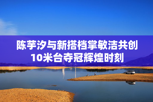 陈芋汐与新搭档掌敏洁共创10米台夺冠辉煌时刻
