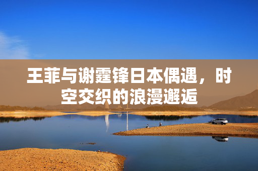 王菲与谢霆锋日本偶遇，时空交织的浪漫邂逅