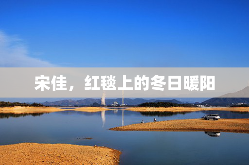 宋佳，红毯上的冬日暖阳