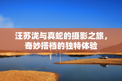 汪苏泷与真蛇的摄影之旅，奇妙搭档的独特体验