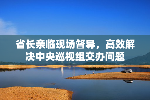 省长亲临现场督导，高效解决中央巡视组交办问题