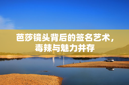 芭莎镜头背后的签名艺术，毒辣与魅力并存