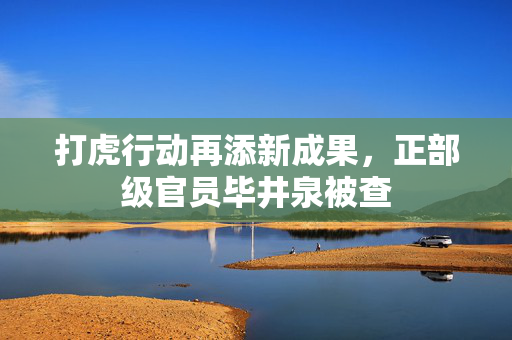 打虎行动再添新成果，正部级官员毕井泉被查