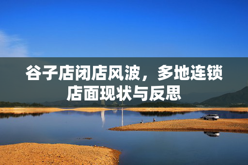 谷子店闭店风波，多地连锁店面现状与反思