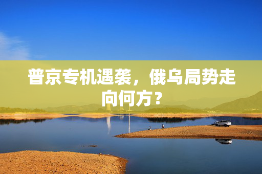 普京专机遇袭，俄乌局势走向何方？