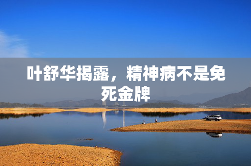 叶舒华揭露，精神病不是免死金牌