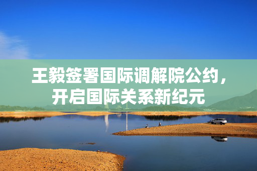 王毅签署国际调解院公约，开启国际关系新纪元