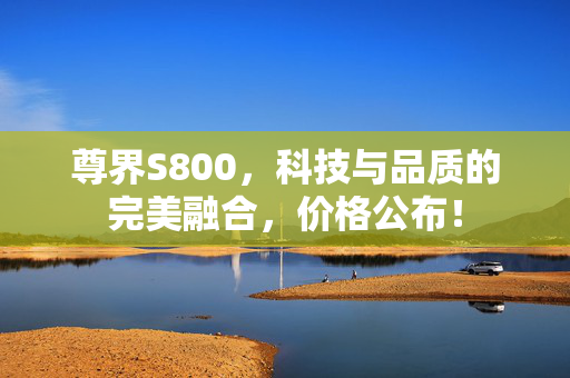 尊界S800，科技与品质的完美融合，价格公布！