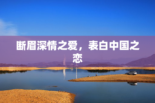 断眉深情之爱，表白中国之恋
