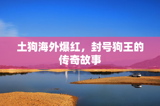 土狗海外爆红，封号狗王的传奇故事