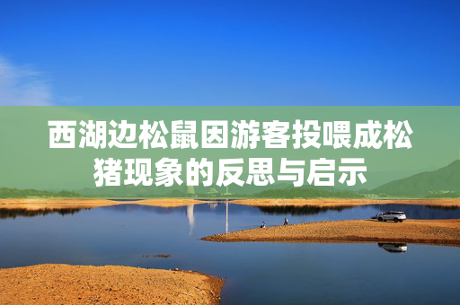 西湖边松鼠因游客投喂成松猪现象的反思与启示