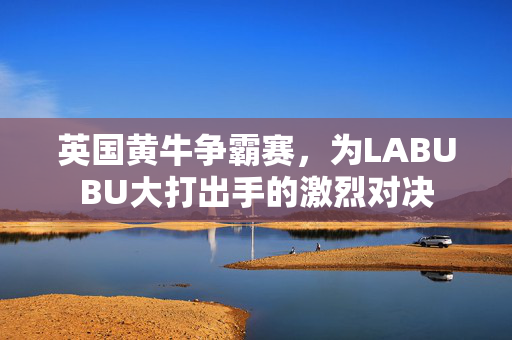 英国黄牛争霸赛，为LABUBU大打出手的激烈对决
