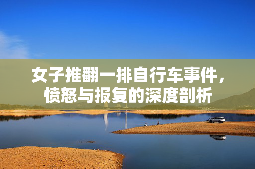 女子推翻一排自行车事件，愤怒与报复的深度剖析