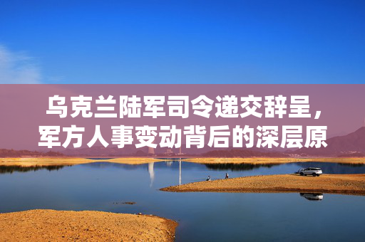 乌克兰陆军司令递交辞呈，军方人事变动背后的深层原因探究