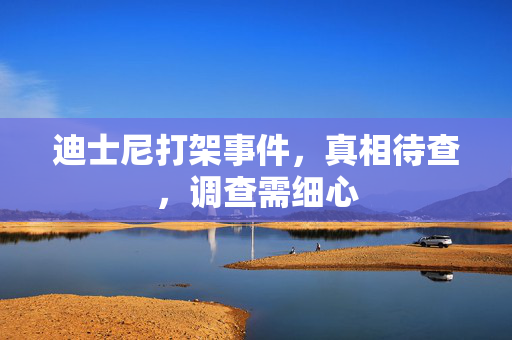 迪士尼打架事件，真相待查，调查需细心