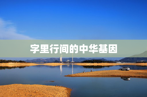 字里行间的中华基因