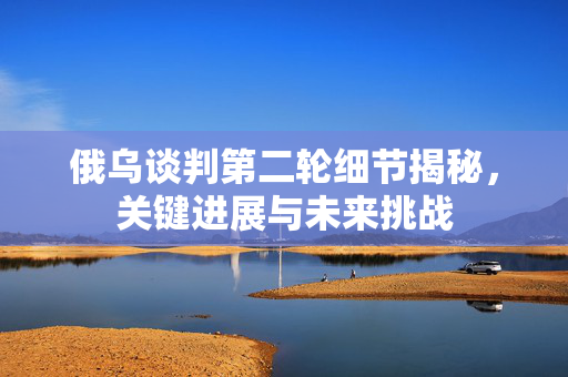 俄乌谈判第二轮细节揭秘，关键进展与未来挑战