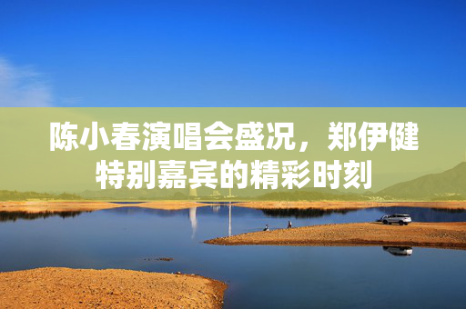 陈小春演唱会盛况，郑伊健特别嘉宾的精彩时刻
