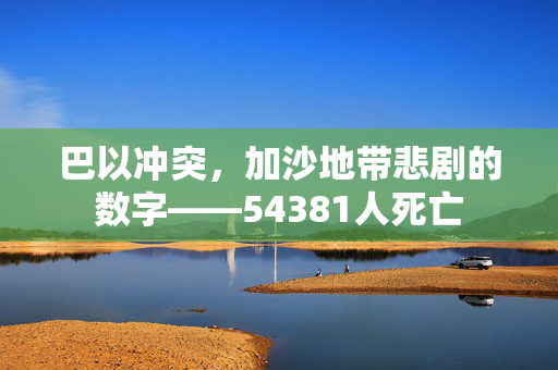 巴以冲突，加沙地带悲剧的数字——54381人死亡