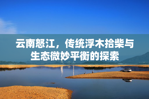 云南怒江，传统浮木拾柴与生态微妙平衡的探索