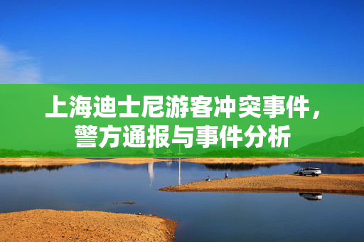 上海迪士尼游客冲突事件，警方通报与事件分析