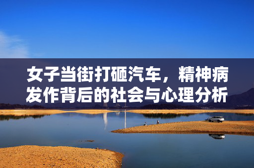 女子当街打砸汽车，精神病发作背后的社会与心理分析