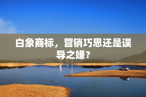 白象商标，营销巧思还是误导之嫌？