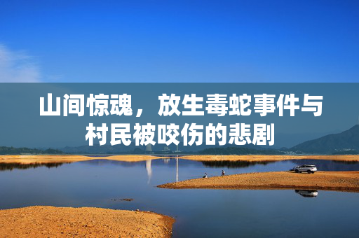 山间惊魂，放生毒蛇事件与村民被咬伤的悲剧