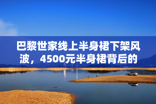巴黎世家线上半身裙下架风波，4500元半身裙背后的争议
