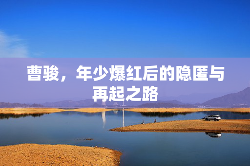 曹骏，年少爆红后的隐匿与再起之路
